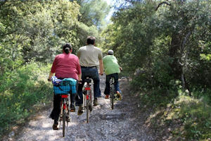 Take a cruise in the Alpilles